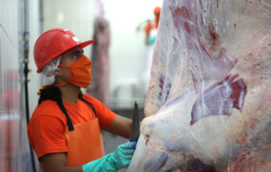 IMG_4258-1024x683 (1)